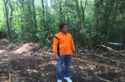 Hutan Desa Pasir Panjang Bakal Jadi Destinasi Wisata Baru di Kobar