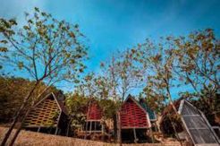 Setangkai Anggrek Bulan di Radika Paradise