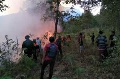 Kebakaran Hutan Gunung Sumbing Belum Padam