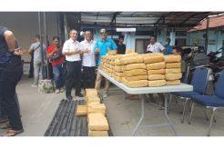 BNN Sita 250 Kg Ganja asal Aceh di Pelabuhan Bakauheni