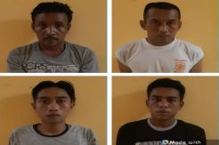 Polisi Bekuk 4 Pencuri 27 Ekor Sapi di Perusahaan Sawit