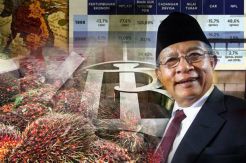 Menko Darmin Panggil Menteri ATR dan LHK Bahas Moratorium Sawit