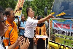 Indonesia Ekspor Perdana Nanas dan Pisang Karimun ke Singapura