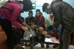 Tujuh Orang Diamankan...