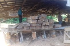 Ditreskrimsus Polda Kalbar Sita Ratusan Kayu Ilegal