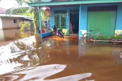 Ribuan Rumah Warga di Rohil Terendam Banjir, Warga Mengungsi