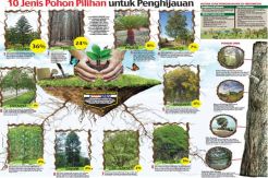 Sepuluh Jenis Pohon...