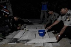 Geger! Macan Gunung Lawu Serang Delapan Ternak Warga