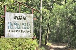 Hutan Desa Pasir Panjang Jadi Destinasi Wisata Baru di Kobar