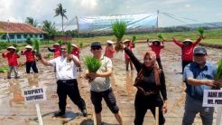 Kementan-Bupati Banyumas Pacu Petani Tanam Padi