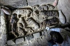 Mumi Kucing dan Kumbang Scarab Ditemukan di Makam Mesir Kuno