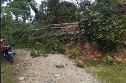 Longsor 100 Meter, Warga Muara Siau Jambi Nyaris Terisolir