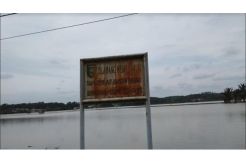 Diterjang Banjir, Ribuan Hektare Sawah di Riau Rusak