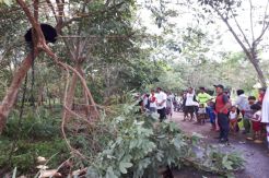 Seekor Beruang Liar Terperangkap Jebakan Babi