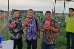 Delegasi Kementan Lakukan Studi ke Stasiun Riset Pertanian Taichung