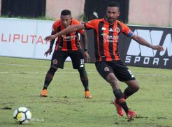 Pesut Etam Terkapar di Kandang Cendrawasih Jingga
