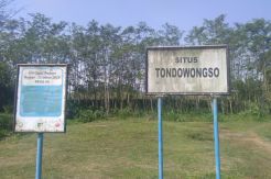 Tondowongso, Situs Kerajaan...