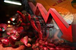 Produksi Melimpah Tekan Harga Cabai-Bawang, Atur Pola Tanam Jadi Kunci
