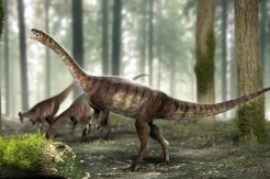 Ilmuan Temukan Dinosaurus...