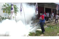 Warga Agam Terjangkit DBD, Perindo Langsung Lakukan Fogging