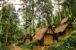 Adat Istiadat Baduy...