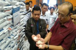 35 Ribu Ton Beras Menumpuk, Dikhawatirkan Padi Petani Tidak Terserap
