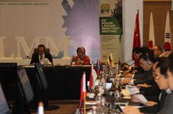 Indonesia Tuan Rumah ALMM+3 Tahun 2020