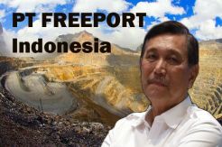 Luhut: Tak Ada Papa...