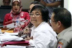 Pengelolaan Gambut Indonesia...