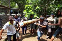 Detik-Detik Menegangkan...