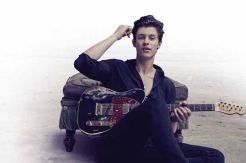 Shawn Mendes, Musisi...