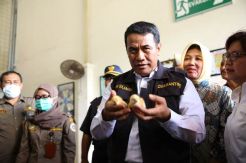 Ekspor Anak Ayam Ke Timor Leste Terus Meningkat
