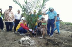 Bupati Kobar Tanam Perdana Program Sawit Rakyat di KUD Karya Tani