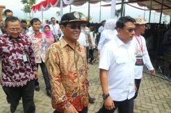 Ekspor Kambing dan Domba, Peluang yang Menjanjikan
