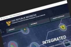 Penerapan OSS, Pemerintah...