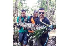 Bocah 12 Tahun Tewas Dimangsa Buaya Muara Berukuran Empat Meter