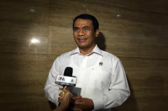 Kementan Optimalisasi Lahan Rawa di Kalimantan Selatan