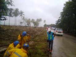 PLN Terus Kebut Pemulihan Jaringan Listrik Pasca Tsunami Selat Sunda