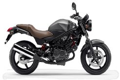 Honda Perkenalkan Jagoan Baru Model Klasik VTR250