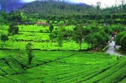 5 Destinasi Pilihan...