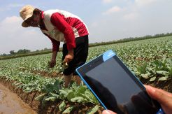 Kementan Garap Digitalisasi Wirausaha Muda Pertanian