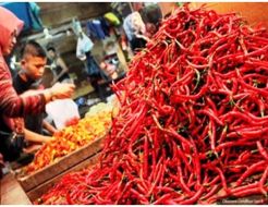 Nataru Terlewati, Harga Cabai dan Bawang Tetap Stabil
