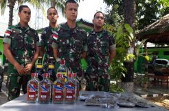 Satgas Pamtas RI-PNG Amankan 6,2 Kg Ganja di Perbatasan Papua
