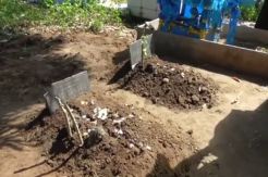 Pembongkaran 2 Makam di Gorontalo Terkait dengan Caleg Nasdem Ini