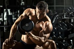 Pentingnya Asupan Protein yang Pas dalam Pembentukan Otot