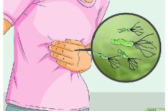 Kuman Hpylori Bisa Sebabkan...