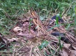 Tengkorak Manusia di Pinggir Sungai Cidurian Bikin Geger Warga