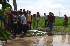 Mayat Wanita Tanpa Identitas Mengambang di Irigasi