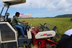 Dampak Positif Mekanisasi Pertanian Bisa Dirasakan 5 Tahun Mendatang