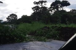 Ada Pohon Tumbang, Ruas Jalan Tondano-Suluan Tertutup
